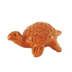 Terracotta Tortoise
