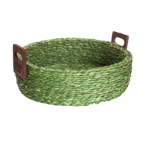 Fruit Basket Green Color 10″