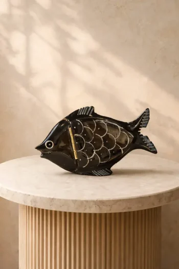 Ox Horn Medium Box Fish