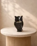Ox Horn Medium Box Owl