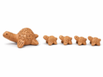 Mother Tortoise with Babies Terracotta Set